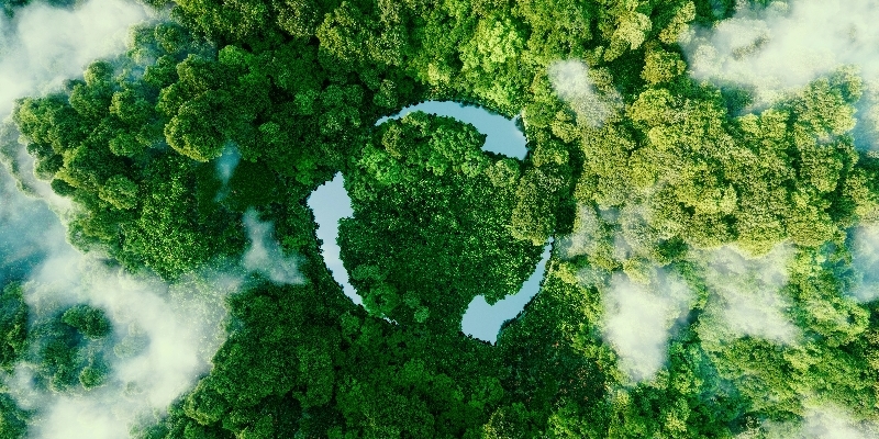 CimpactPro Karbon Raporlamasını Nasıl Basitleştiriyor?