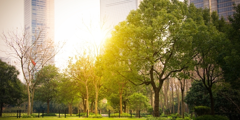 Emisyon Hesaplaması İçin Veriler Nereden Geliyor ve Eksiklikler Nasıl Yönetiliyor?