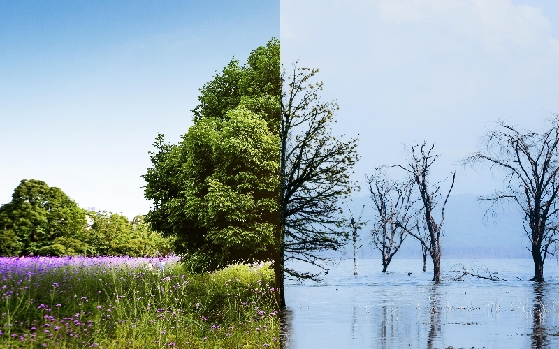  GPC Standardı Nedir ve Neden Hayatidir?