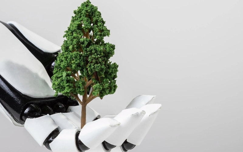 Karbon Denkleştirme Nedir?