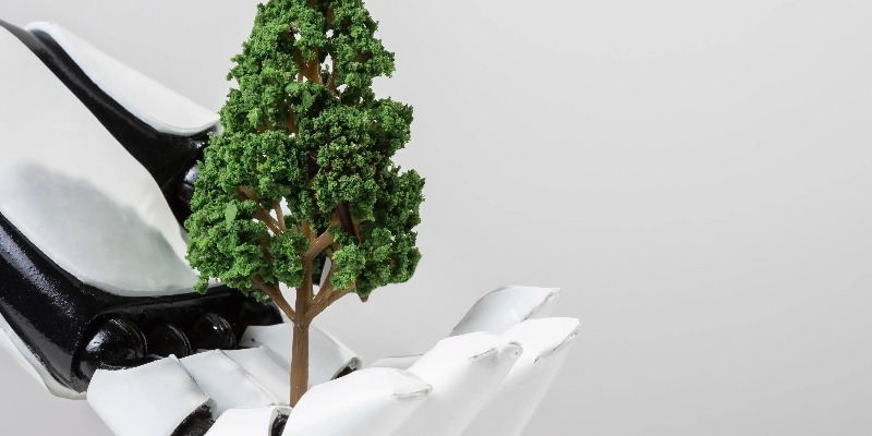 Karbon Denkleştirme Nedir?