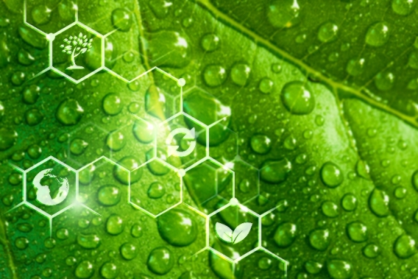 Yeşil Hidrojen Nedir? Nasıl Üretilir?